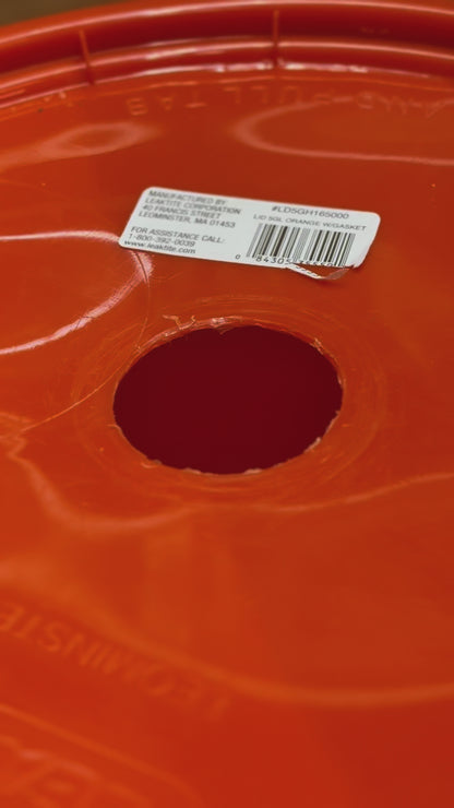 Fly Trap, Top of Bucket